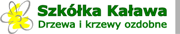 Szkółka Kaława, drzewa i krzewy ozdobne
